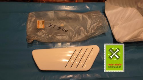 IMG_20231128_170303